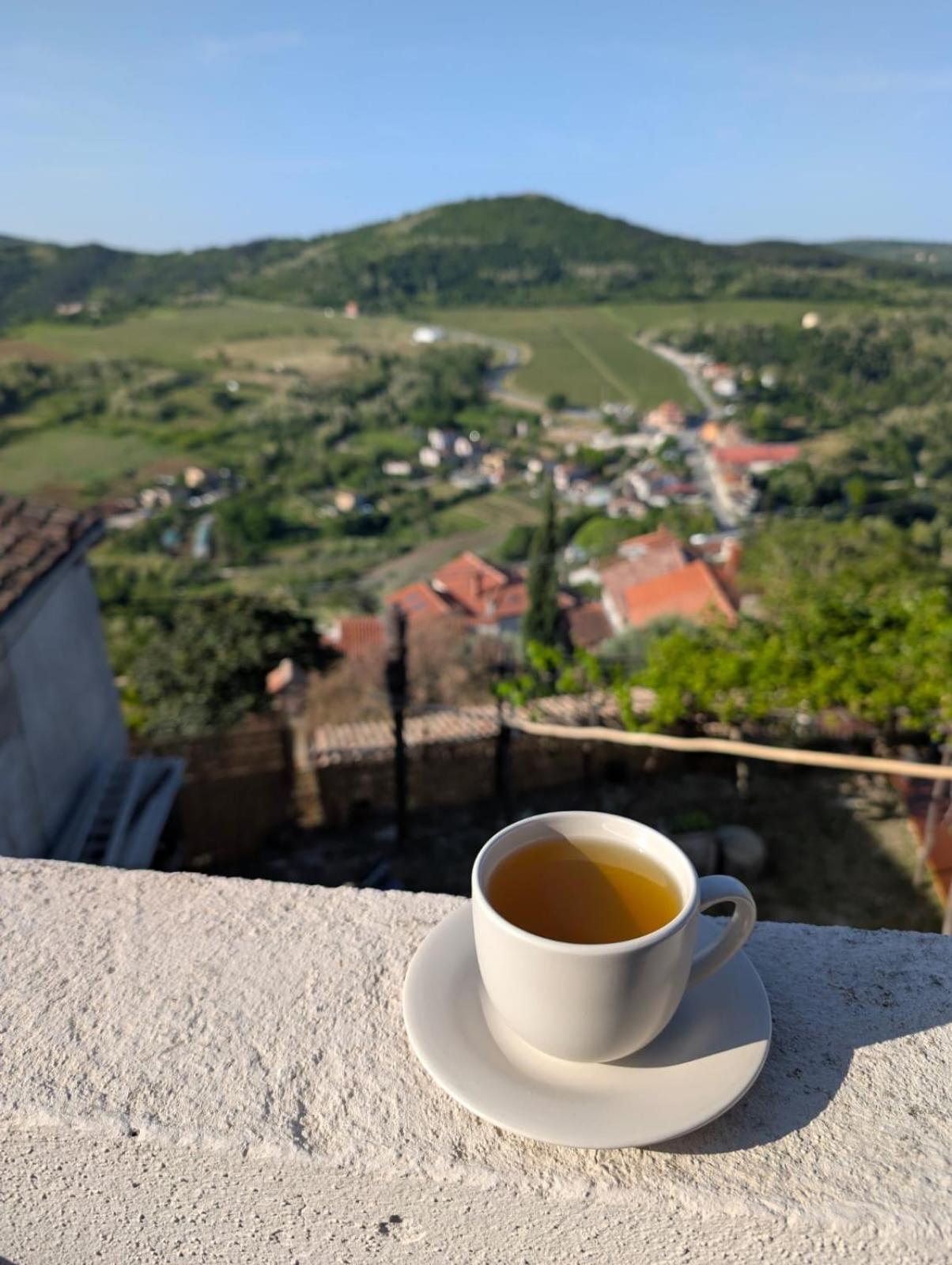 Studio Apartman Bel Vedere Motovun Exteriér fotografie