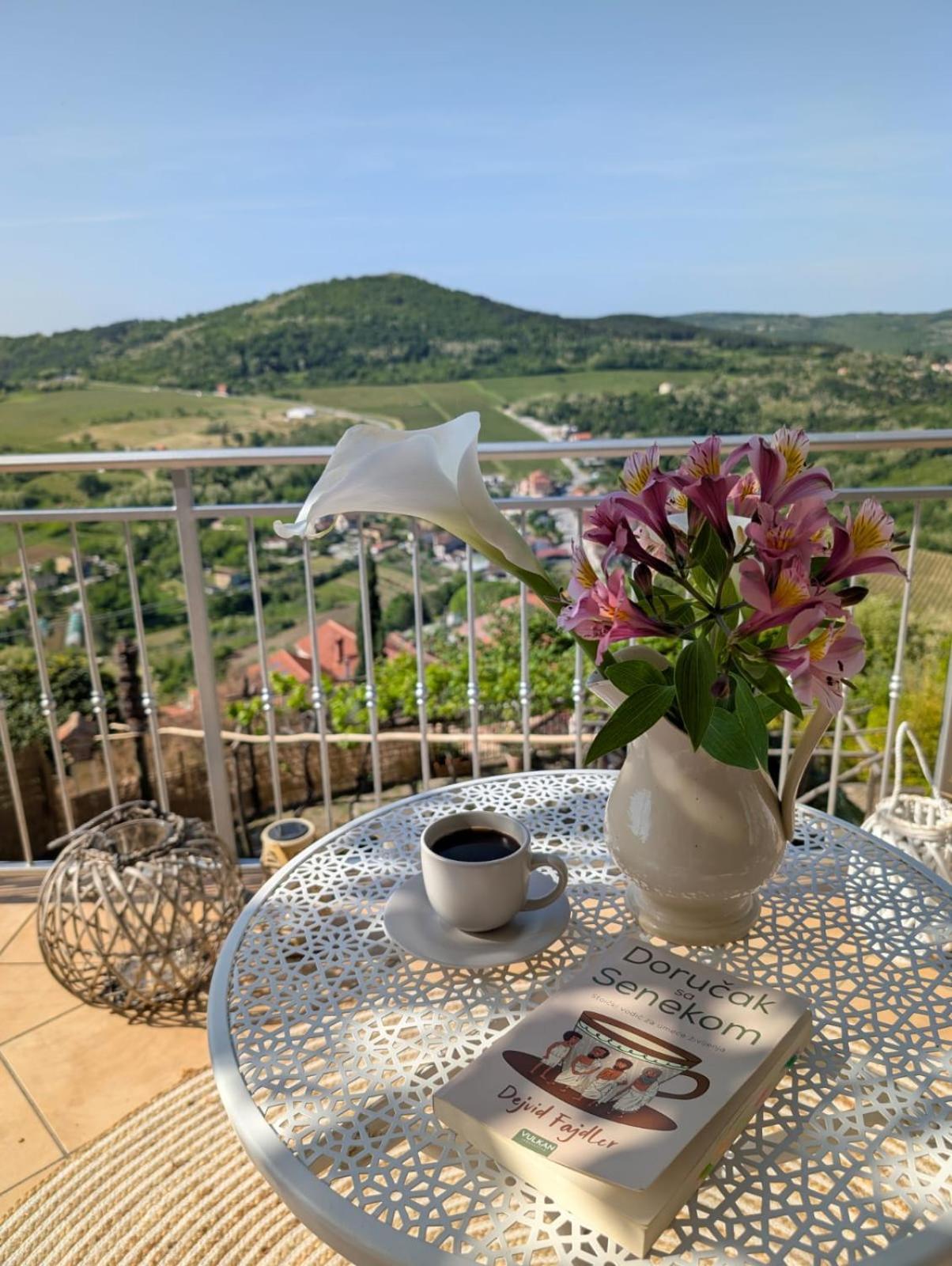 Studio Apartman Bel Vedere Motovun Exteriér fotografie